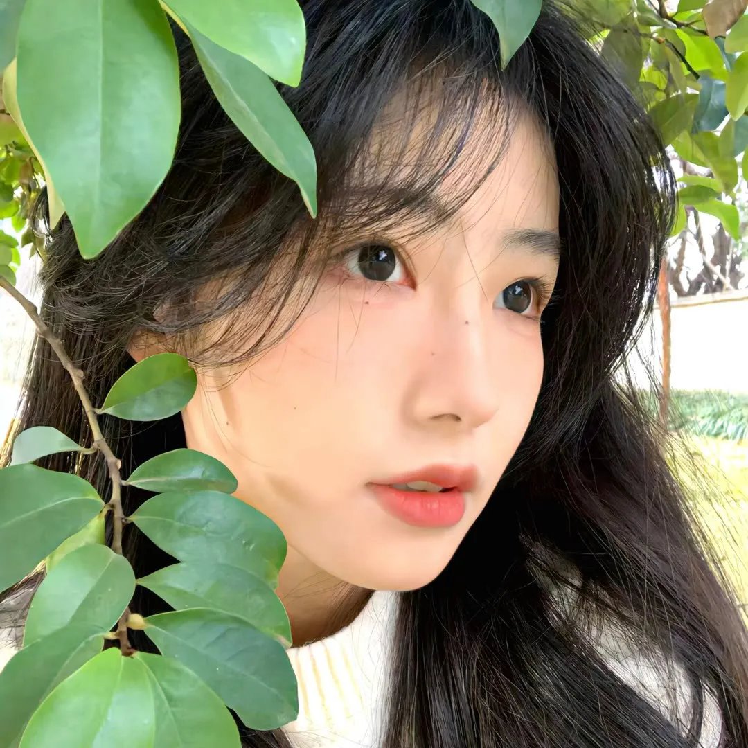 推手